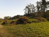 Round Hill (Cameron home farm cairn)