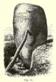 Click for full size image of Cat Stane (Kirkliston) (PID:94071) Cat Stane (Kirkliston)