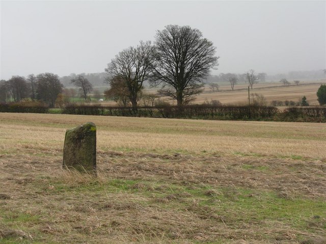 Gogar Stone