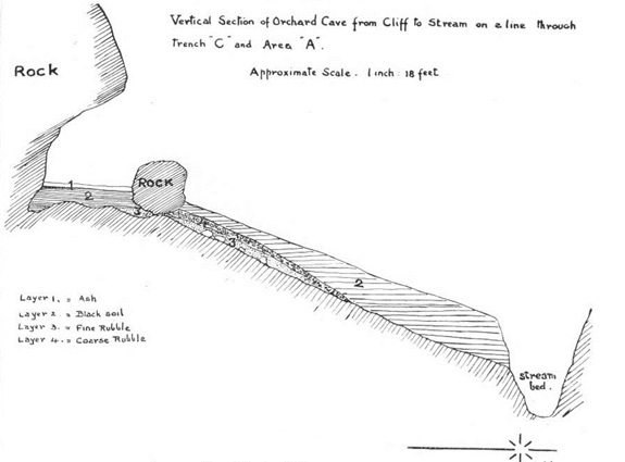 Orchard Cave, Kenya