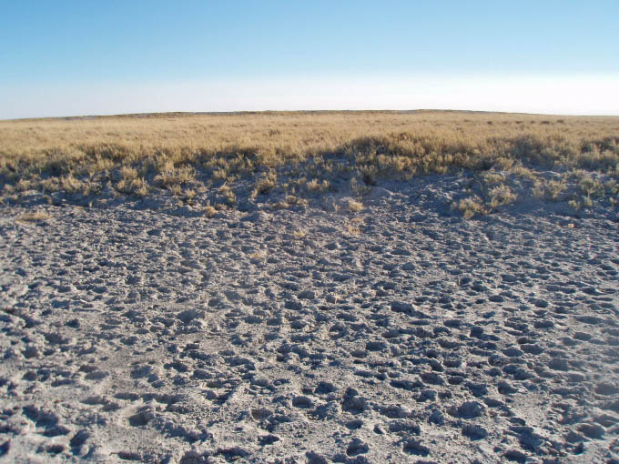 Makgadikgadi