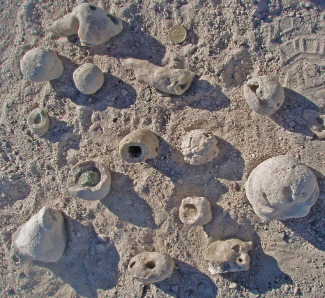 Click for full size image of Makgadikgadi (PID:44259) Makgadikgadi