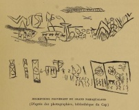 Iziko South African Museum - PID:104818