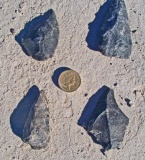 Makgadikgadi - PID:44257