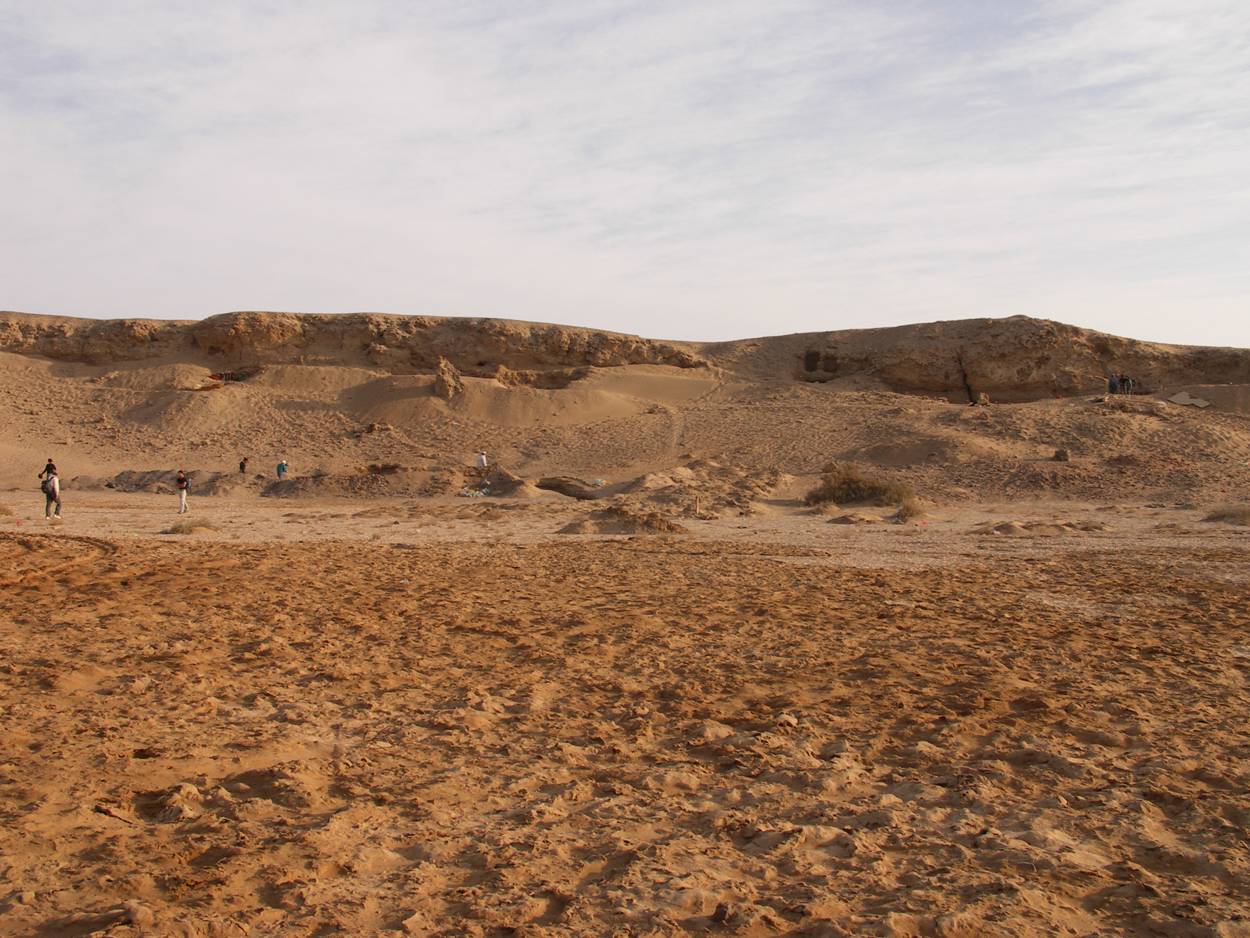 Wadi Gawasis Port and Caves