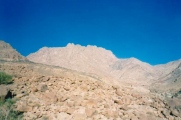 Mount Umm Shomar Predator Trap 
