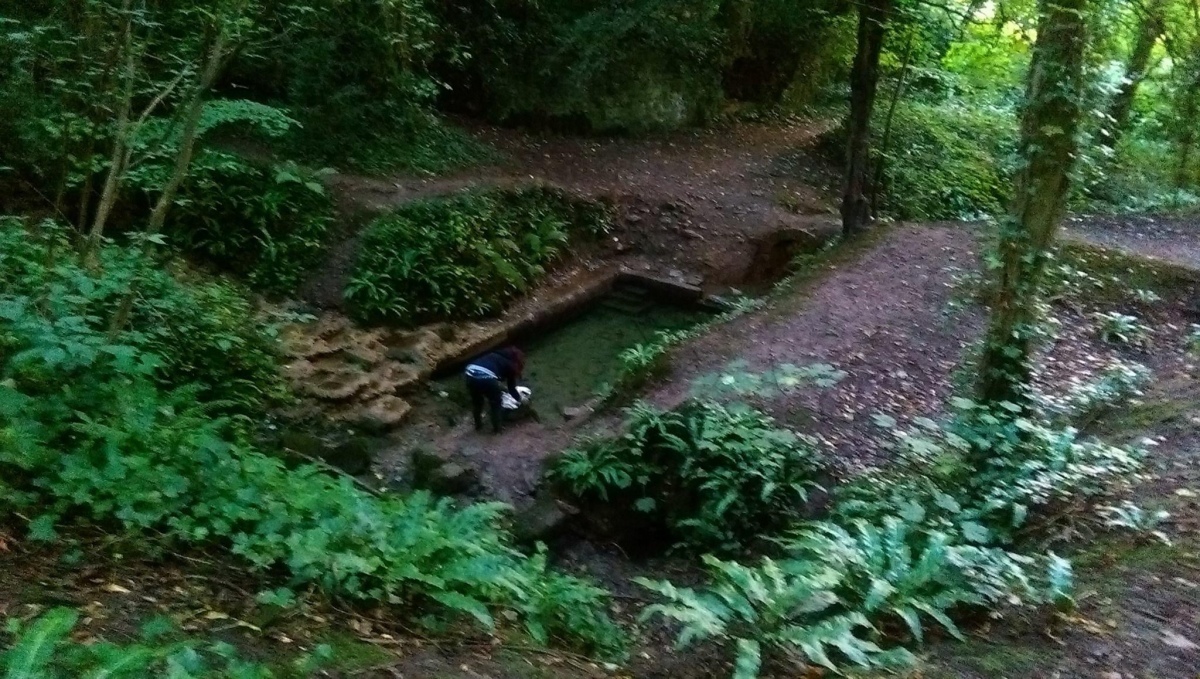 St Dyfnog's Well