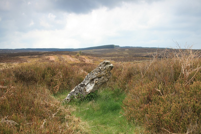 Cefn-y-Gader cairn (2)