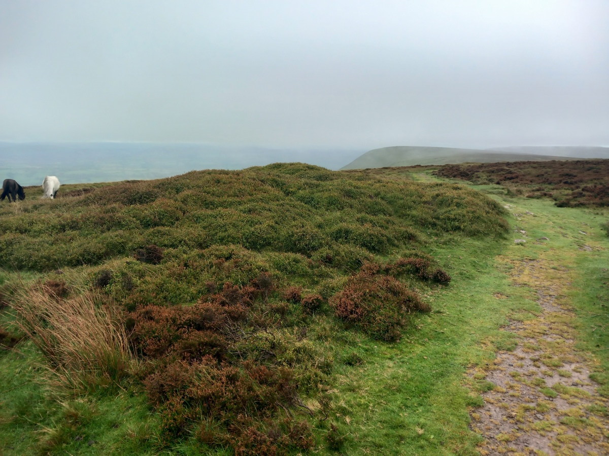 Wiral Cairn (PID:264542) Wiral Cairn