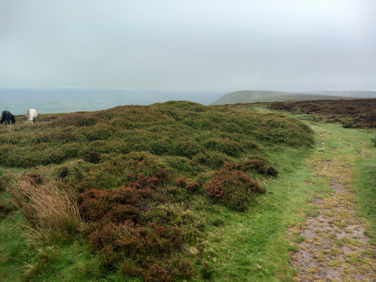 Wiral Cairn