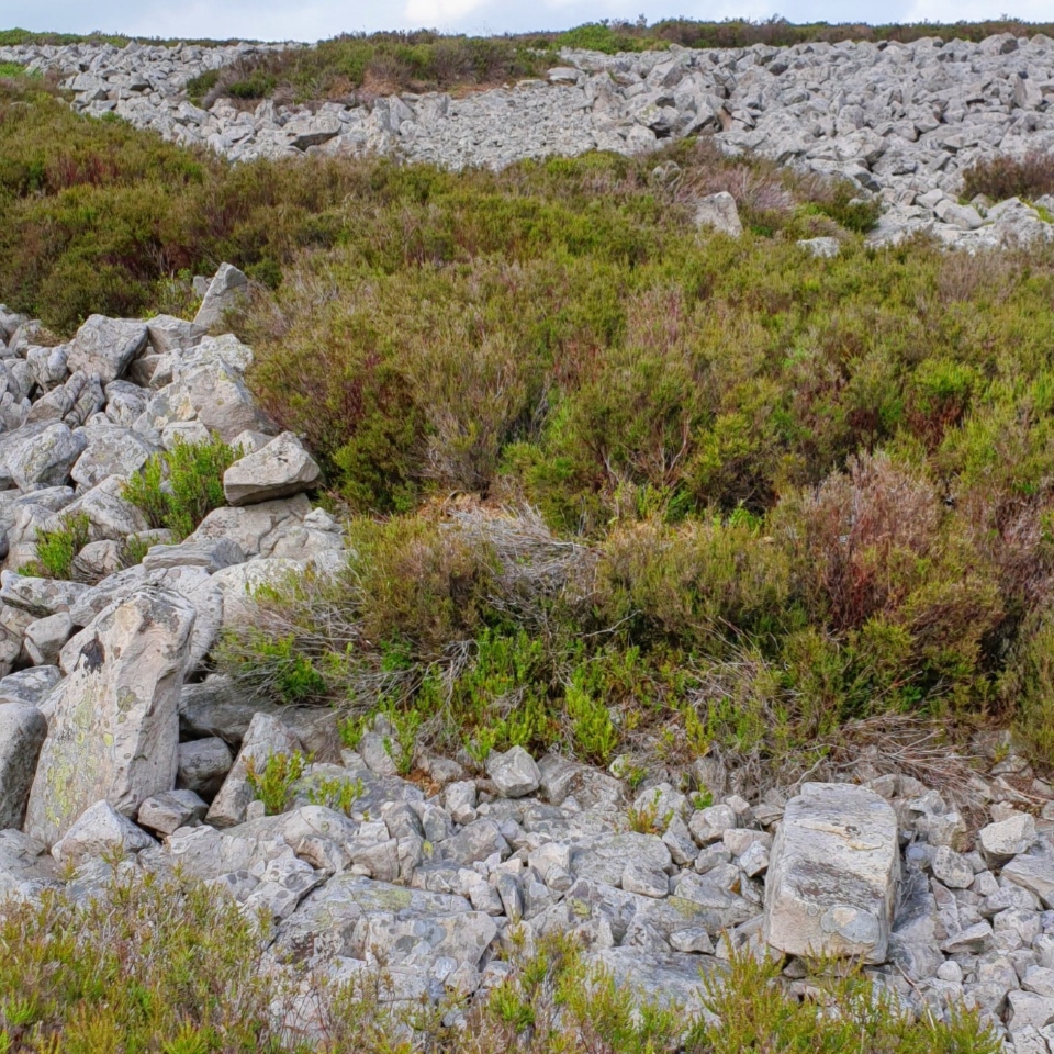 Mynydd Garn Fawr