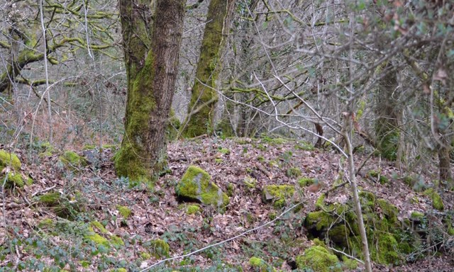 Garnteg Barrows