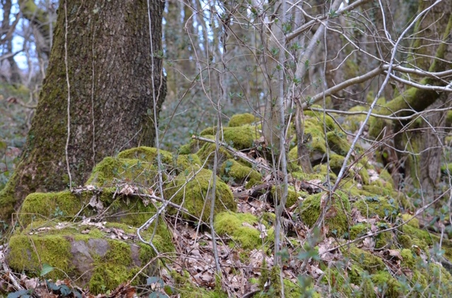 Garnteg Barrows