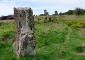 Gray Hill stone row