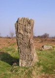 Gray Hill stone row - PID:6045