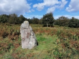 Gray Hill stone row