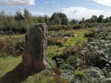 Gray Hill stone row