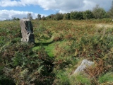 Gray Hill stone row