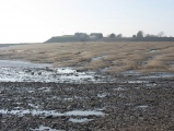 Goldcliff East Mesolithic Site