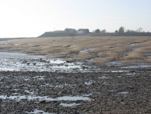 Goldcliff East Mesolithic Site - PID:87523