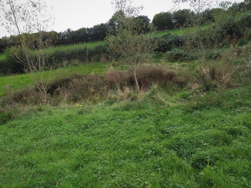 Llanvetherine Holy Well