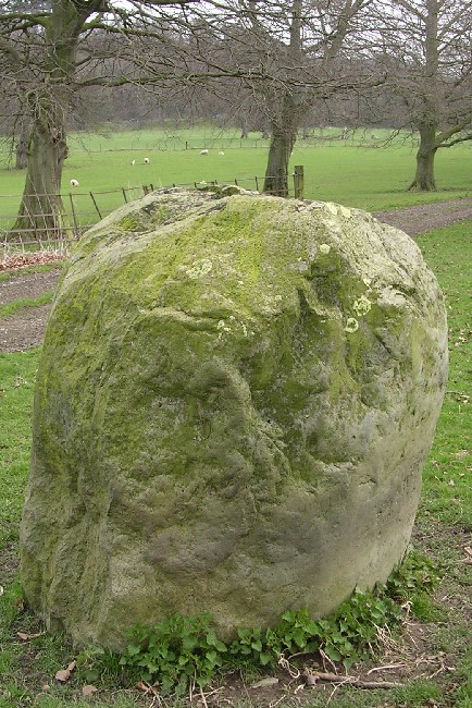 This stone serves as the likely outlier to the Penbedw Park Circle.

It is a very large, almost square but rounded sides stone, and is intervisible from the circle, and tumulus.

Permission must be obtained before visiting, as it is on private park land. 

The circle is behind the tree in the centre of the picture.