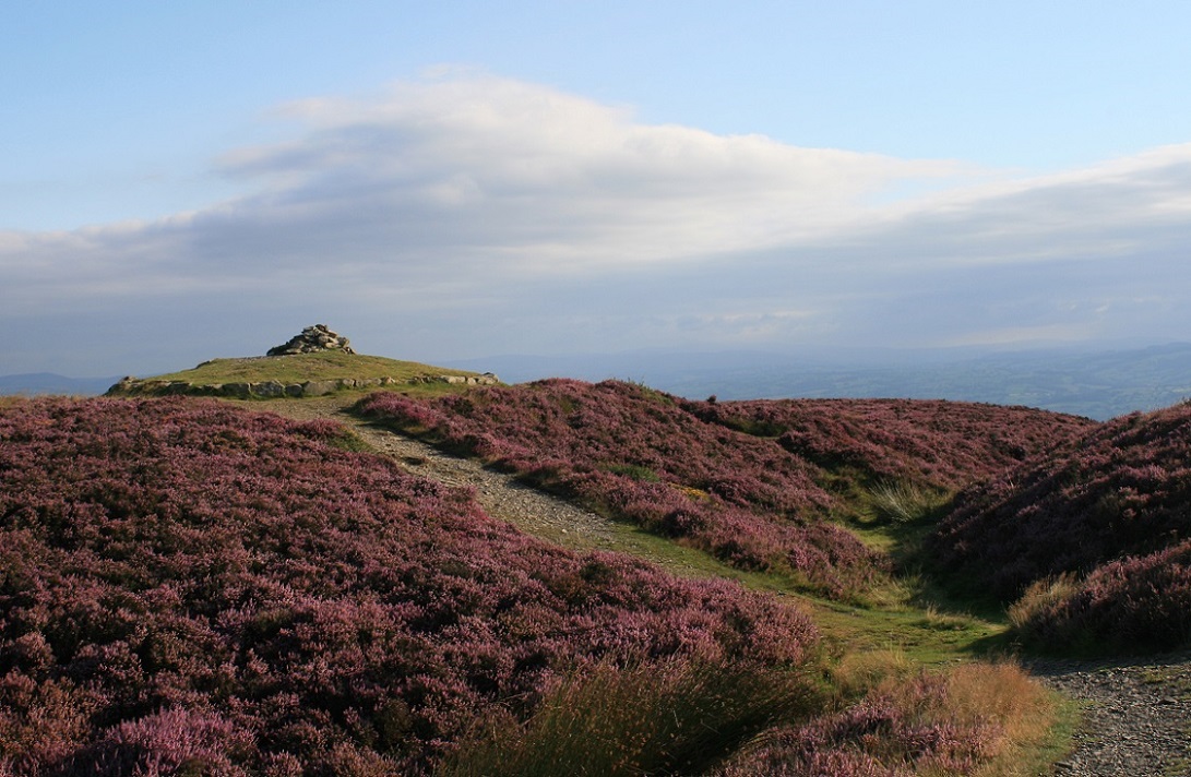 Click for full size image of Penycloddiau (PID:124800) Penycloddiau