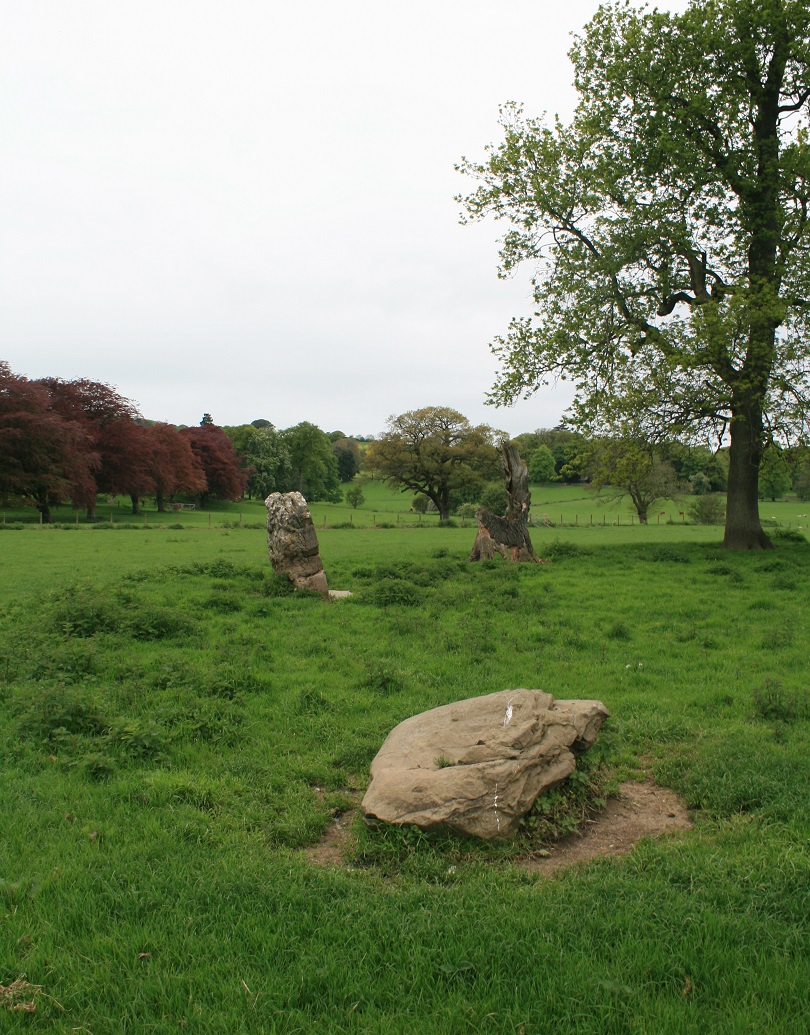 Click for full size image of Penbedw Park (PID:166943) Penbedw Park