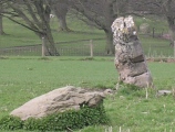 Click for full size image of Penbedw Park Stone Circle (PID:6102) Penbedw Park Stone Circle
