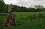 Click for full size image of Penbedw Park (PID:166925) Penbedw Park