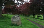 Click for full size image of Penbedw Park Standing Stone (PID:166923) Penbedw Park Standing Stone