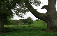 Click for full size image of Penbedw Park (PID:166932) Penbedw Park