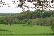 Click for full size image of Penbedw Park Tumulus (PID:166931) Penbedw Park Tumulus