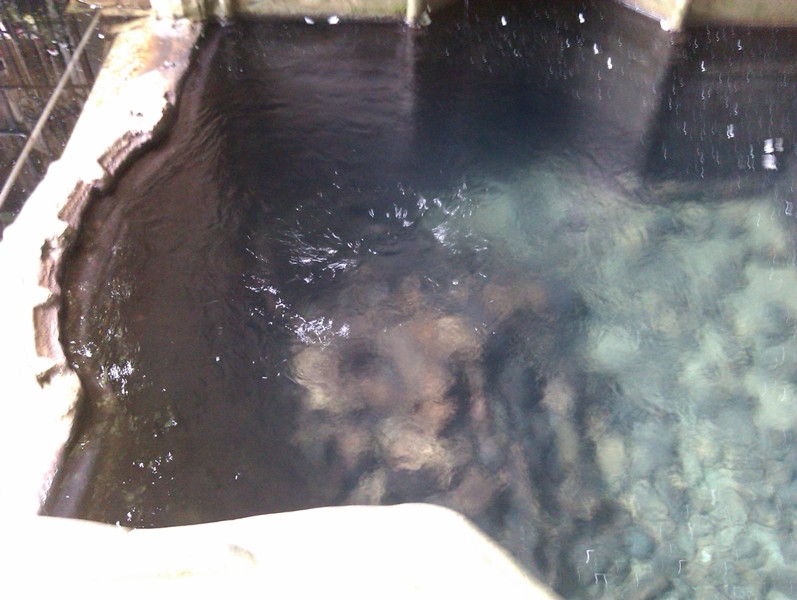 Click for full size image of St Winefrides Well (PID:87335) St Winefrides Well
