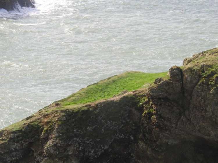 Click for full size image of Ynys-y-Fydlyn (PID:94459) Ynys-y-Fydlyn