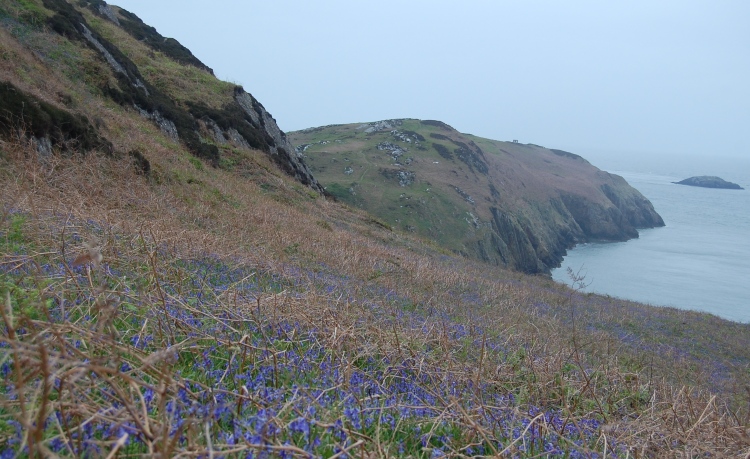 Click for full size image of Dinas Gynfor (PID:29893) Dinas Gynfor