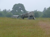 Click for full size image of Plas Newydd Burial Chamber (PID:250646) Plas Newydd Burial Chamber