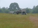 Plas Newydd Burial Chamber