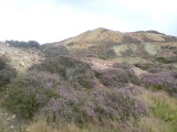 Click for full size image of Parys Mountain (PID:241507) Parys Mountain