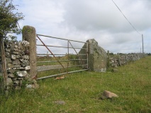 Maen Llechgynfarwy - PID:81244