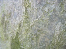 Trefignath - PID:68969