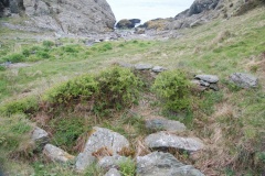 St Eilian's Well - PID:29855