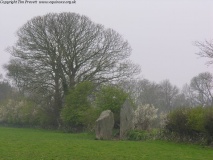 Bryn Gwyn Stones - PID:29323