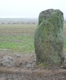 Cremlyn 2 - PID:19045