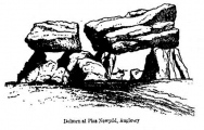 Click for full size image of Plas Newydd Burial Chamber (PID:99558) Plas Newydd Burial Chamber