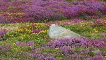 Click for full size image of Holyhead Mountain (PID:81379) Holyhead Mountain