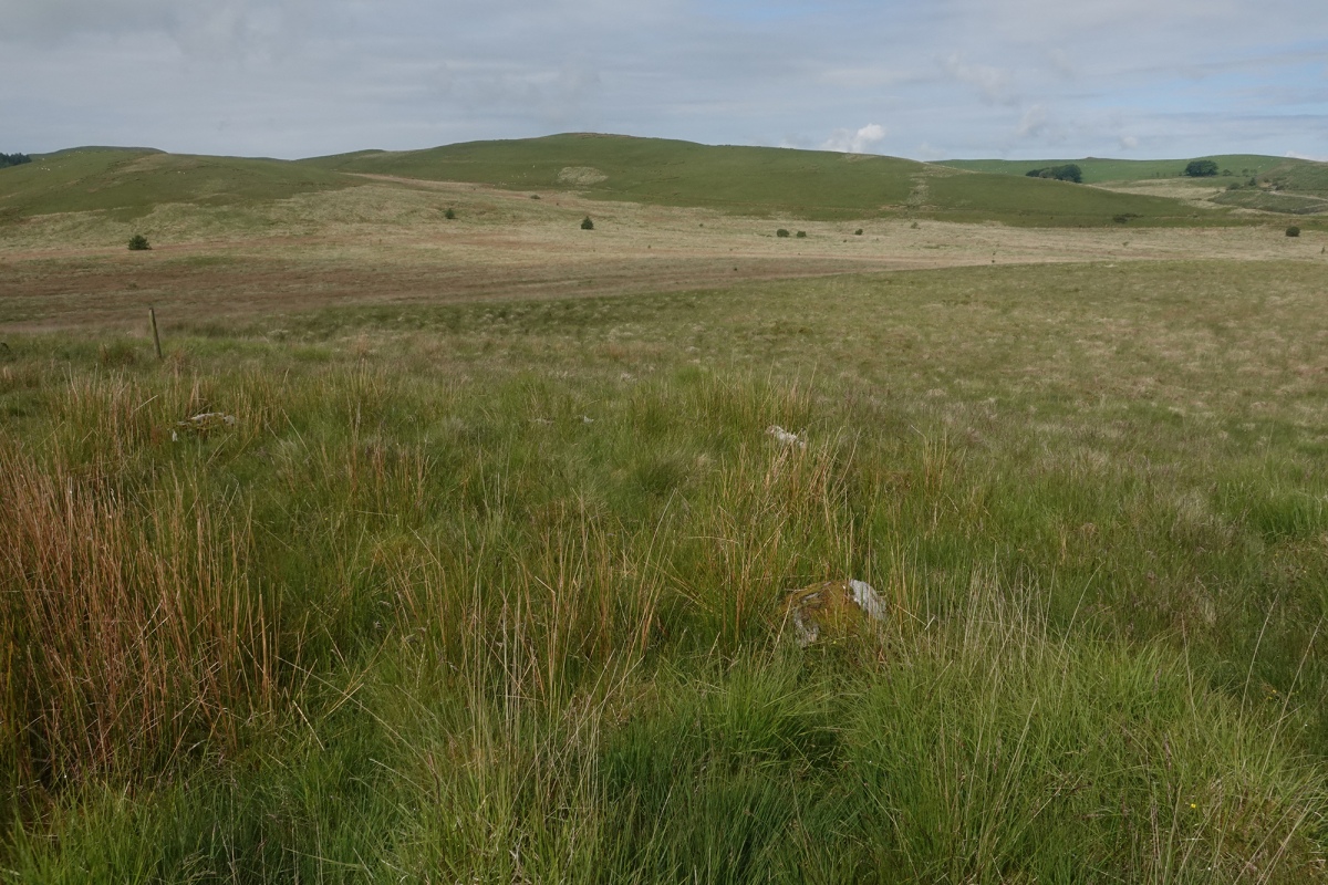 Crug Siarls (PID:243438) Crug Siarls
