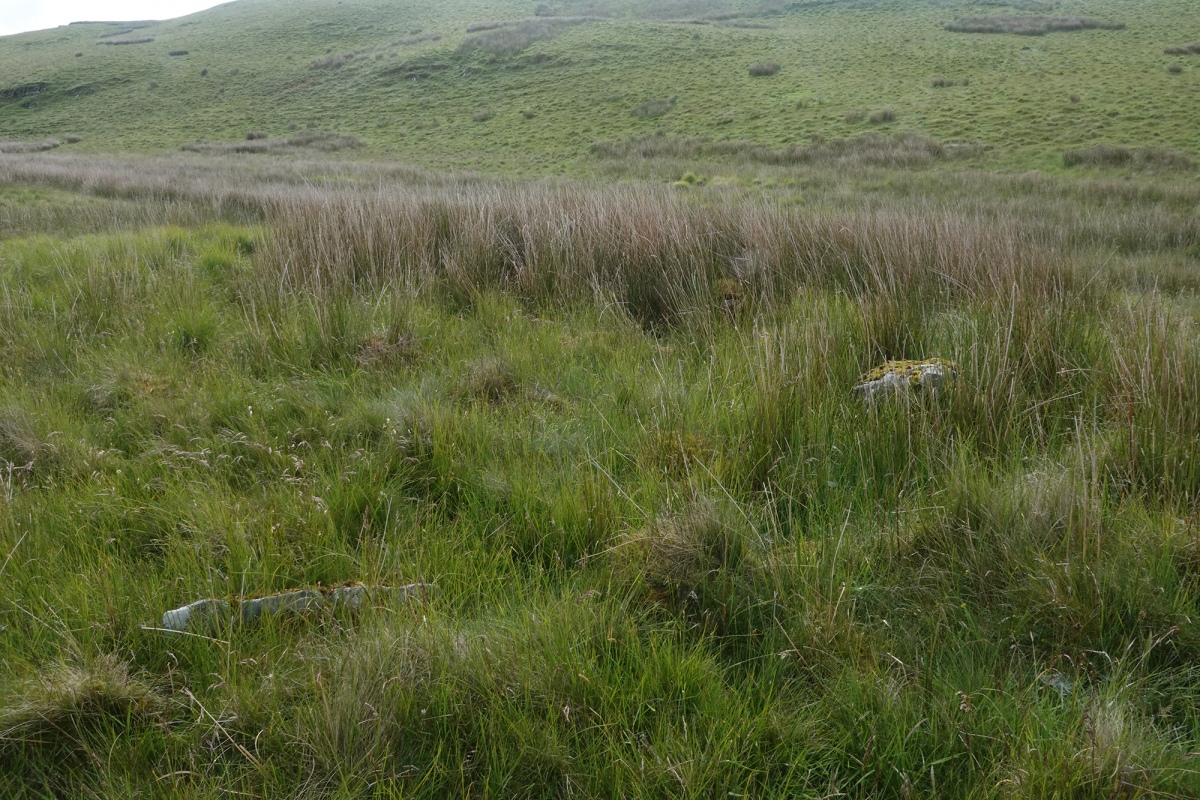 Click for full size image of Crug Siarls (PID:243439) Crug Siarls