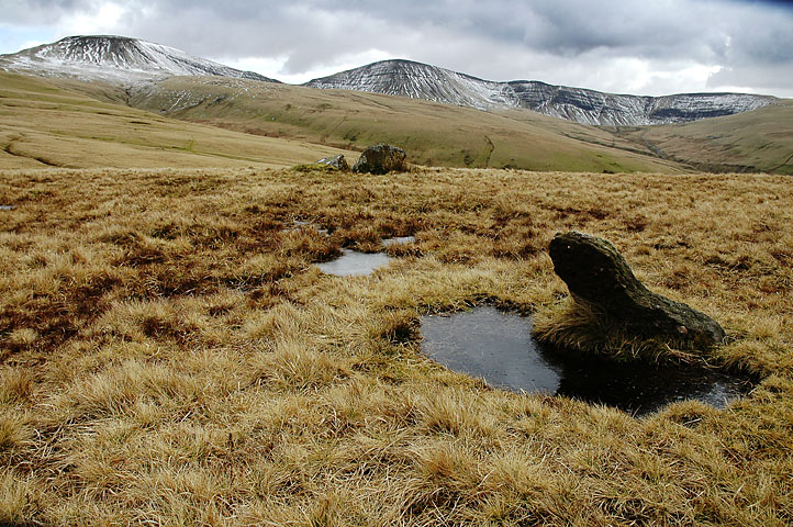 Bannau Sir Gaer (PID:12461) Bannau Sir Gaer