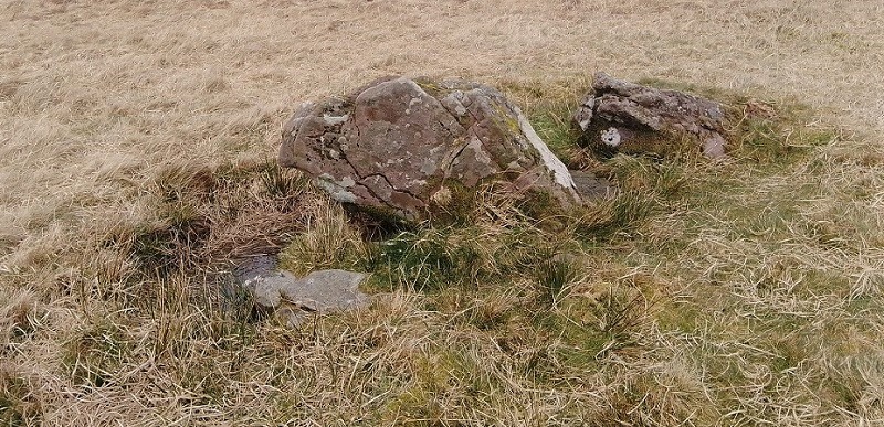 Click for full size image of Bannau Sir Gaer (PID:256484) Bannau Sir Gaer